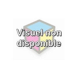 Cartouche compatible epson t0543 magenta 18ml pour R800